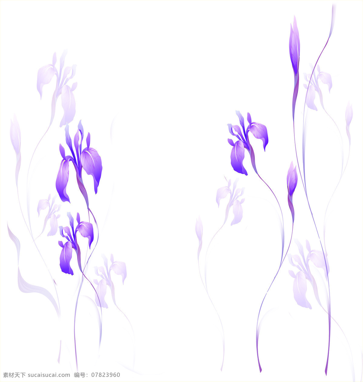 紫花背景 紫花 细长花 未知紫花 小紫花 紫色花朵 花边花纹 底纹边框