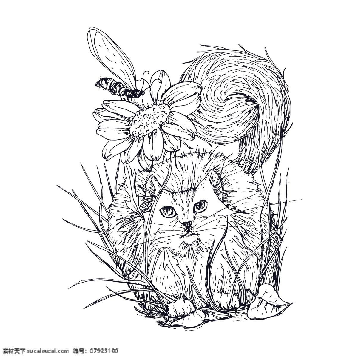 野猫 向日葵 附近 猎 草 昆虫 插图 背景 矢量 猫 猎杀 花 着色 页面 广告