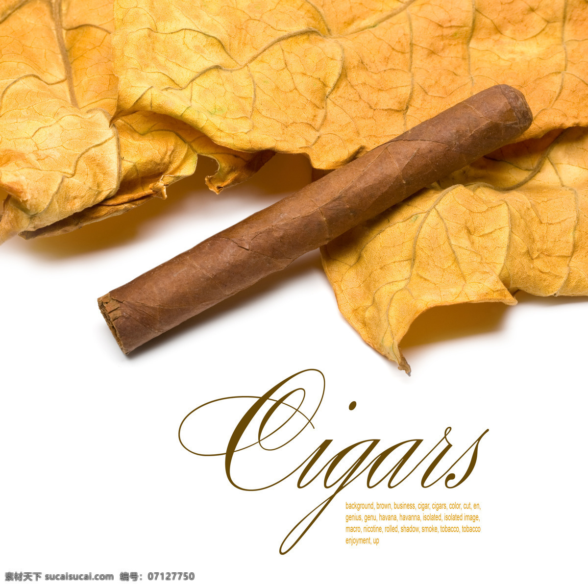 古巴雪茄广告 古巴雪茄 雪茄 香烟 烟草 名贵雪茄 名贵烟草 卷烟 奢侈生活