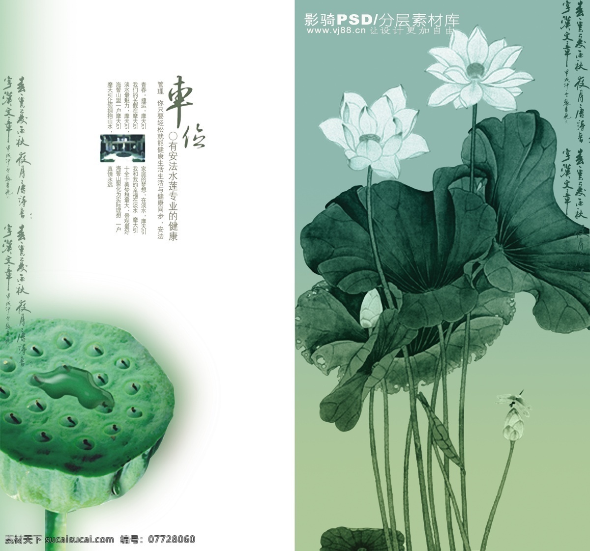 源文件 psd源文件 房地产 荷花 荷叶 莲子
