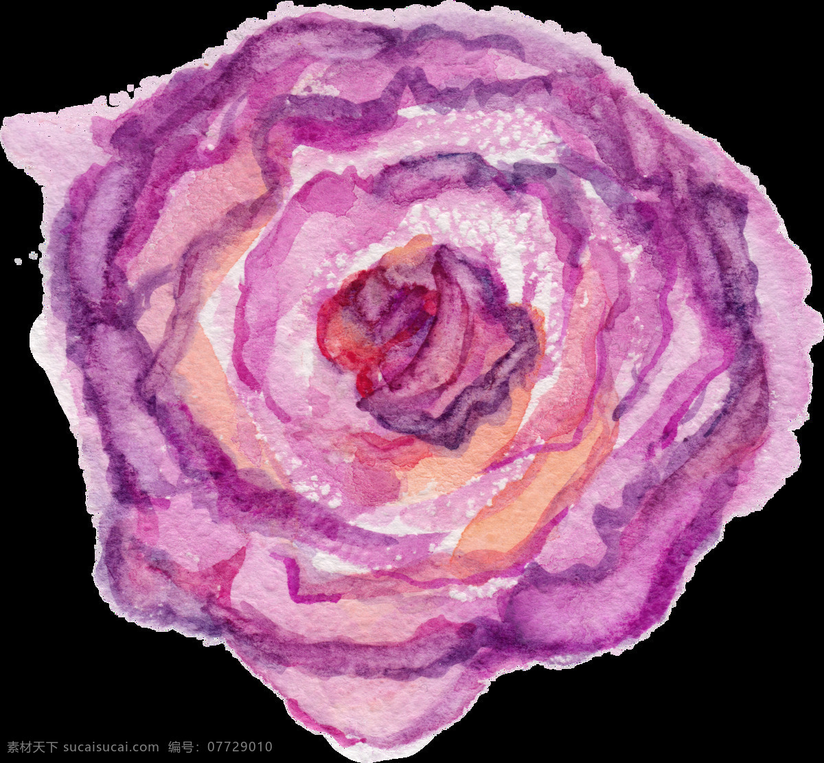 绽放 美丽 紫色 花卉 透明 装饰 海报设计装饰 卡通 免扣 设计素材 水彩 淘宝素材 透明素材 装饰图案