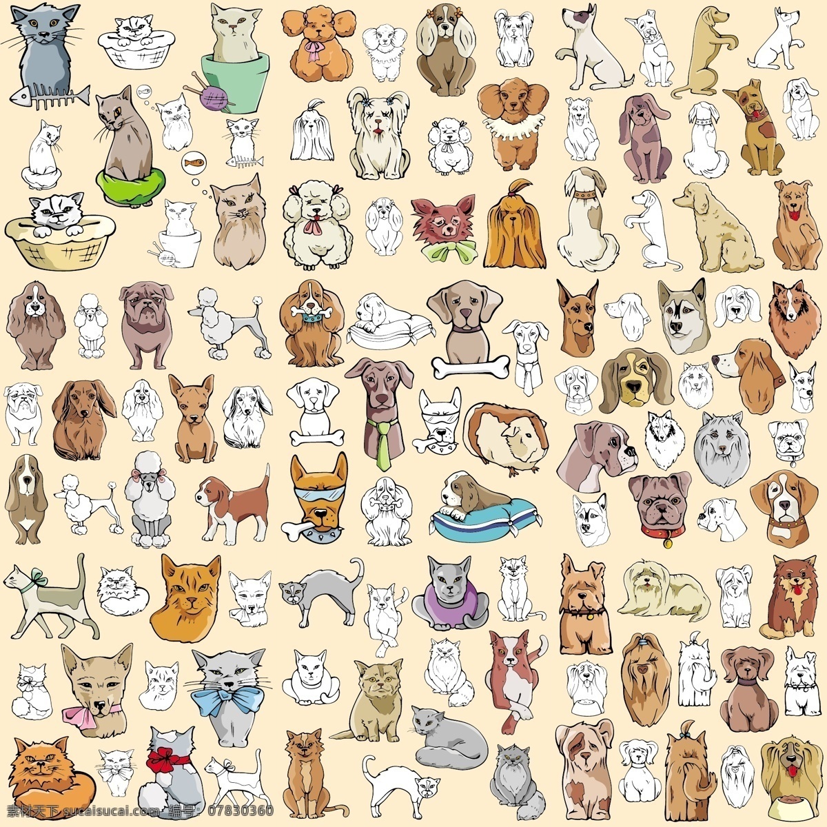 各种 猫 狗 矢量 各种猫 各种狗 各种猫狗 猫素材 猫矢量素材 猫矢量 狗素材 狗矢量素材 矢量图库 其他矢量 矢量素材