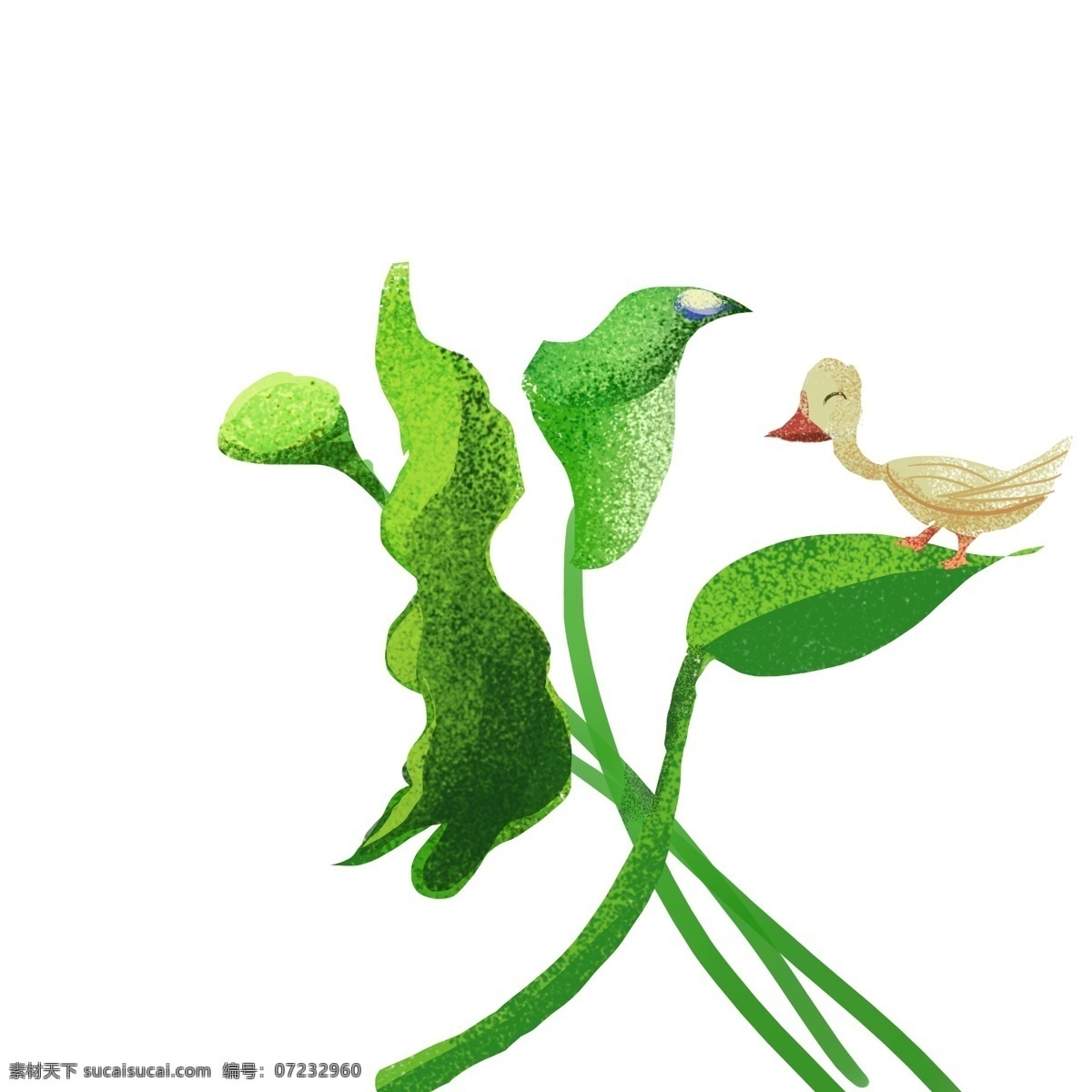 植物 树叶 卡通 插画 绿色的植物 卡通插画 植物插画 绿色植物 树苗 树木 绿植 可爱的小鸟
