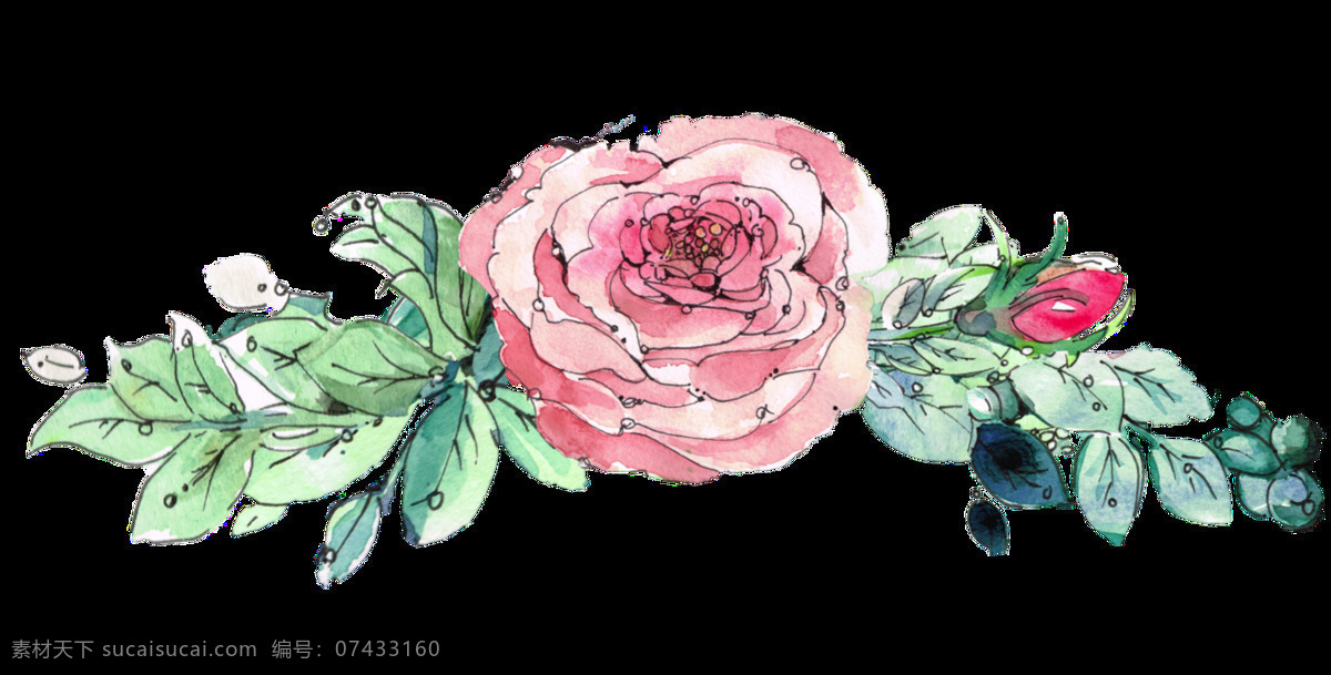 粉色 花卉 透明 装饰 抠图专用 设计素材