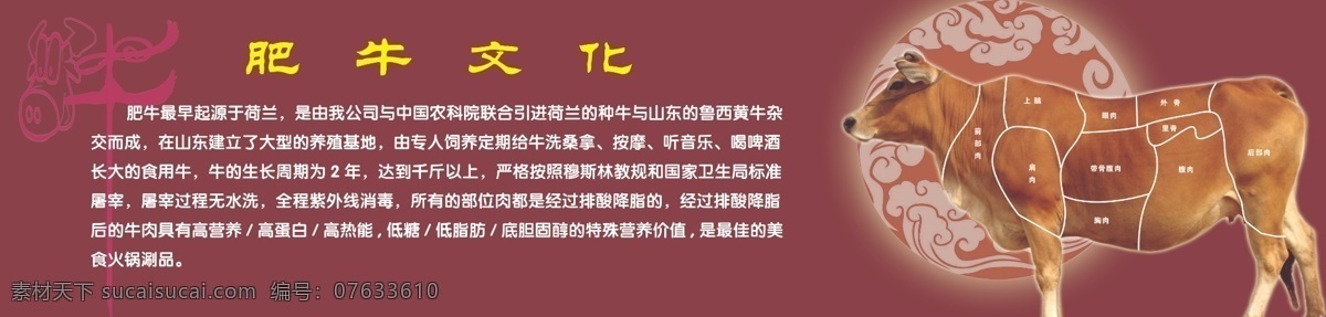 牛文化 牛 牛肉分割 分层 源文件库