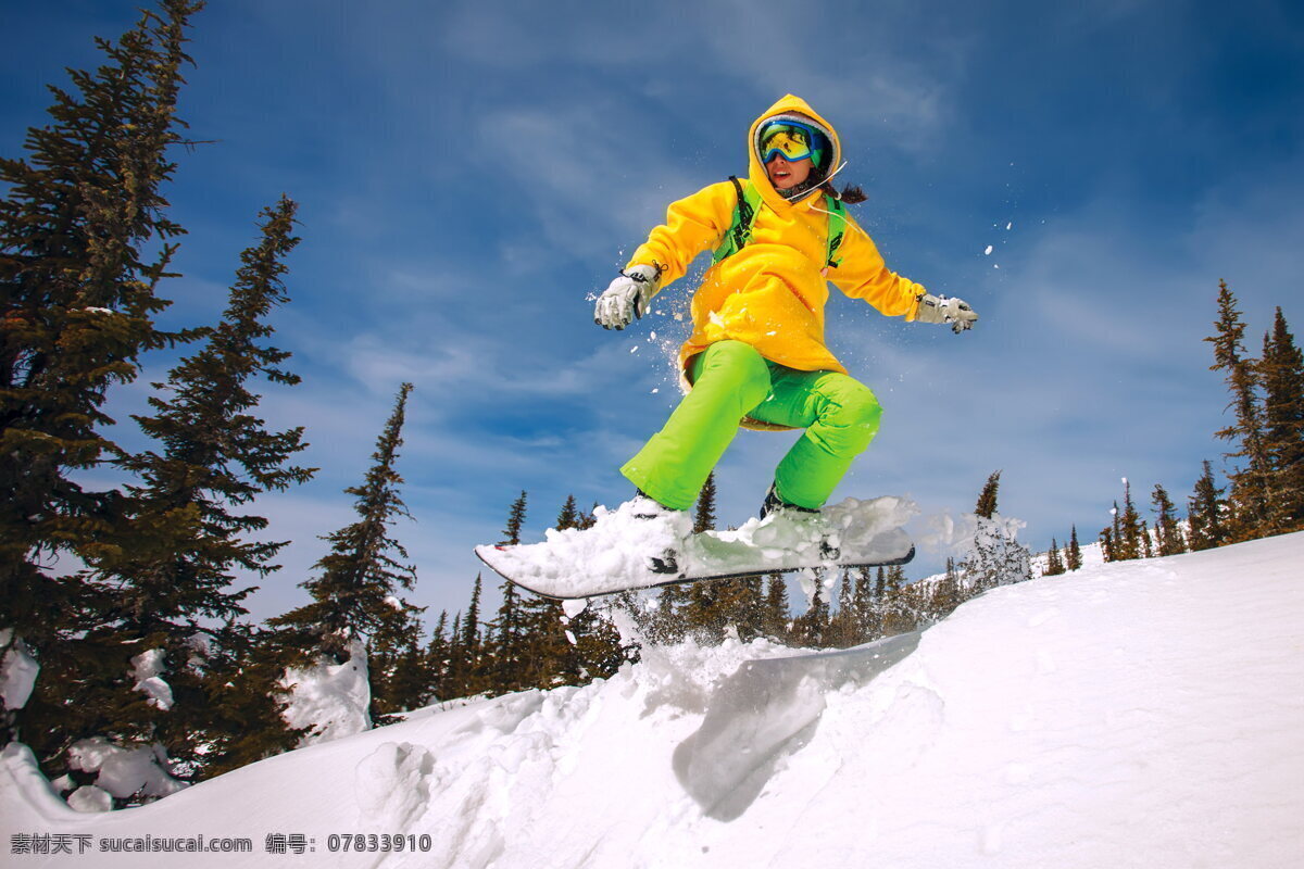 冬季 雪地 里 滑雪 运动员 雪松 树木
