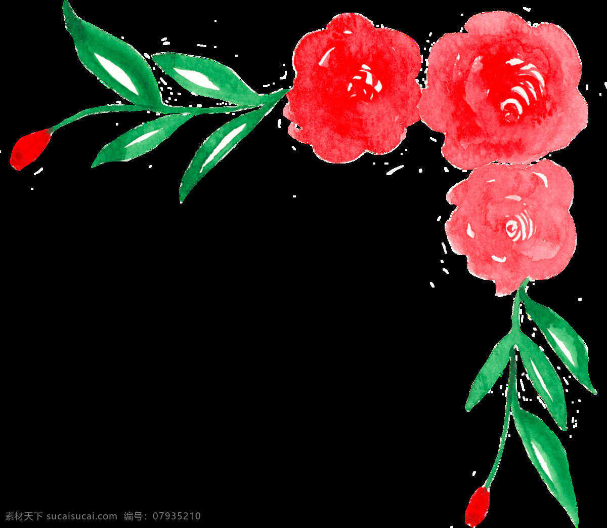 水彩 鲜花 透明 合集 免 扣 插画 粉色 红色 花瓣 花朵 橘色 卡通 绿色 绿叶 手账素材