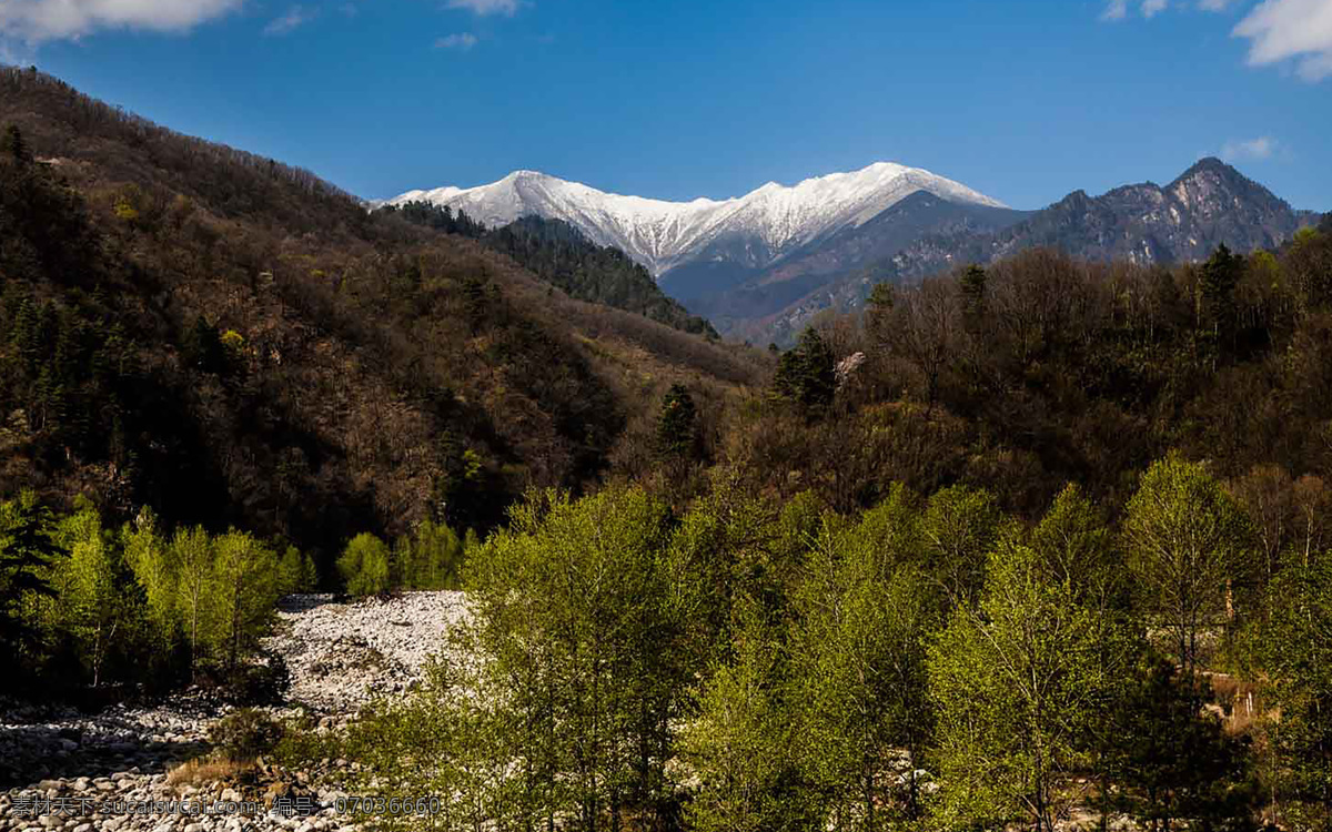 秦岭风景 云海 雾气 雾 大雾瀑布 河流 雪景 山峰 雪峰 峡湾 山 山脉 高山 深山 丛林 登山 森林 云雾 原生态 山地 风景 山河 山摄 山峦 高峰 山路 雪山 大山 山水 山水风景 流水 蓝天 白云 山间 山川 湖泊 溪流 草原 日出 夕阳 彩霞 村庄 乡村 山村 剪影 山影 朦胧 水墨 名山峻峰 自然景观 自然风景