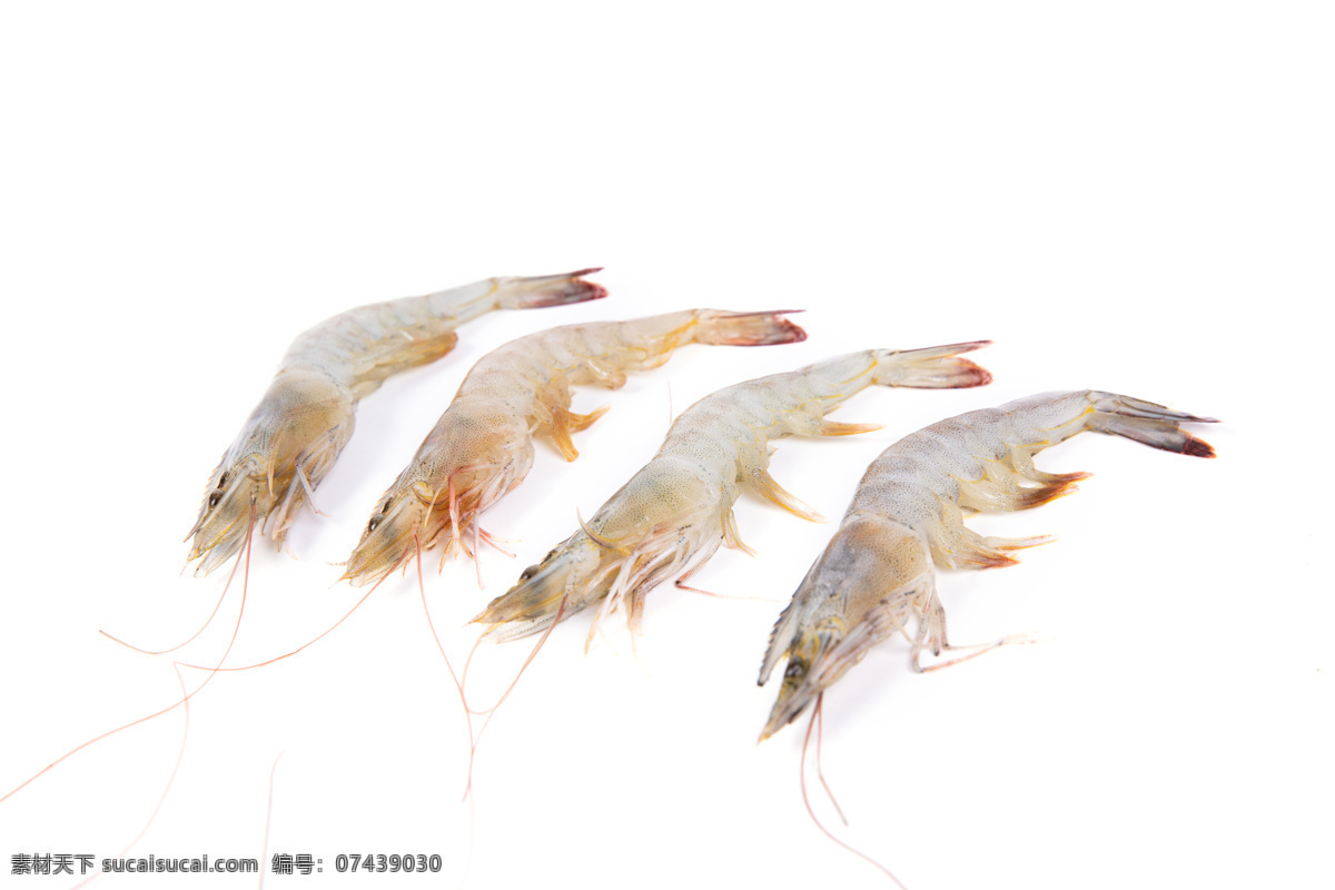 基围虾 海虾 大虾 虾子 海鲜 餐饮美食 食物原料