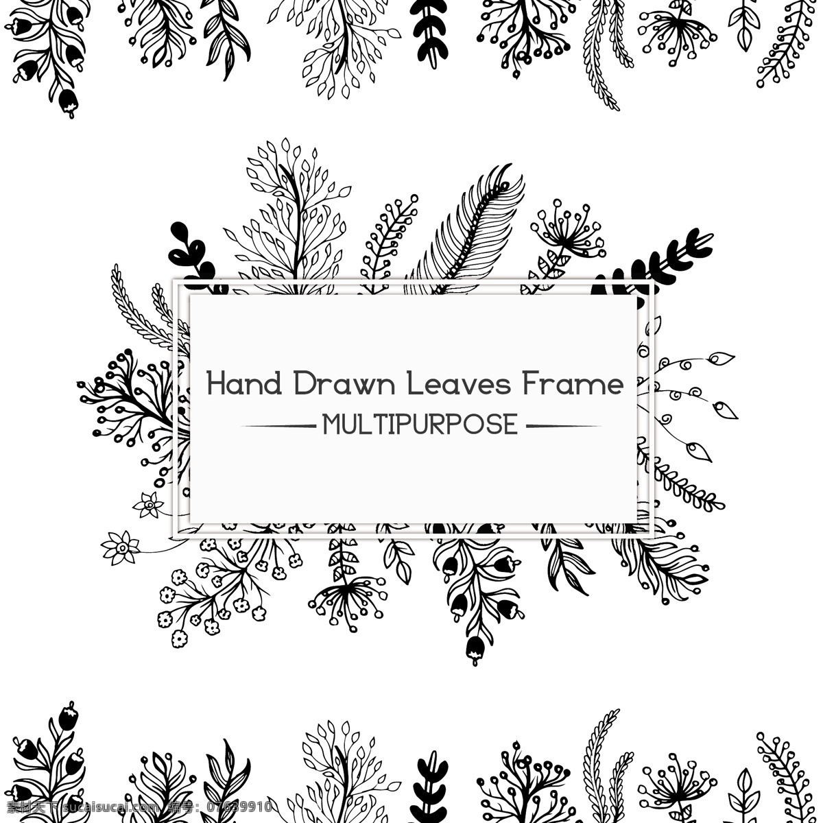 黑白 树叶 框架 背景 花卉 相框 装饰品 自然 春天 黑色 花卉框架 植物 装饰 白色 天然 花卉装饰