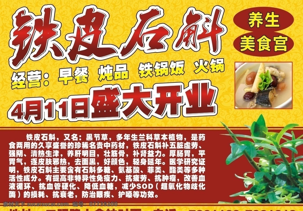 铁皮石斛 盛大开业 养生 黄色底图室 美食