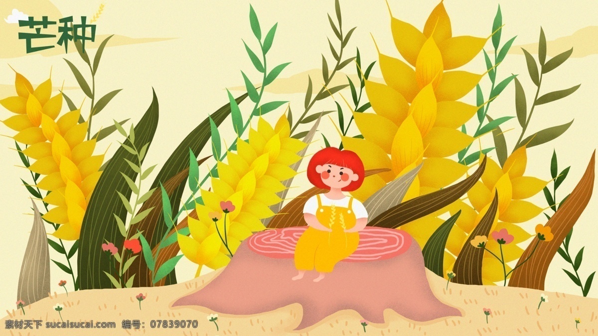二十四节气 芒种 夏天 麦子 熟 小女孩 小 清新 麦子熟了 黄色小清新 植物