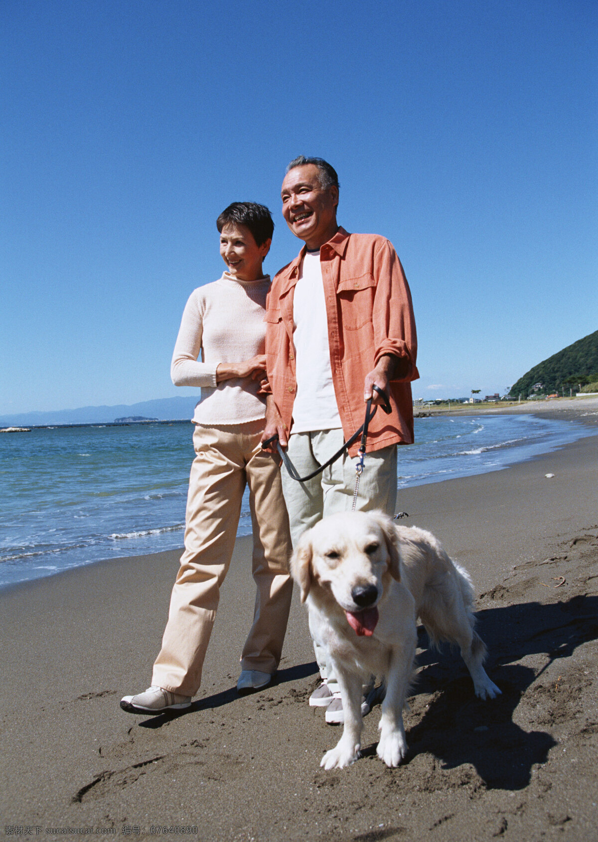 狗 海边 海滩 男人 女人 人 人物篇 人物摄影 散步 男女 人物图库 摄影图库 psd源文件