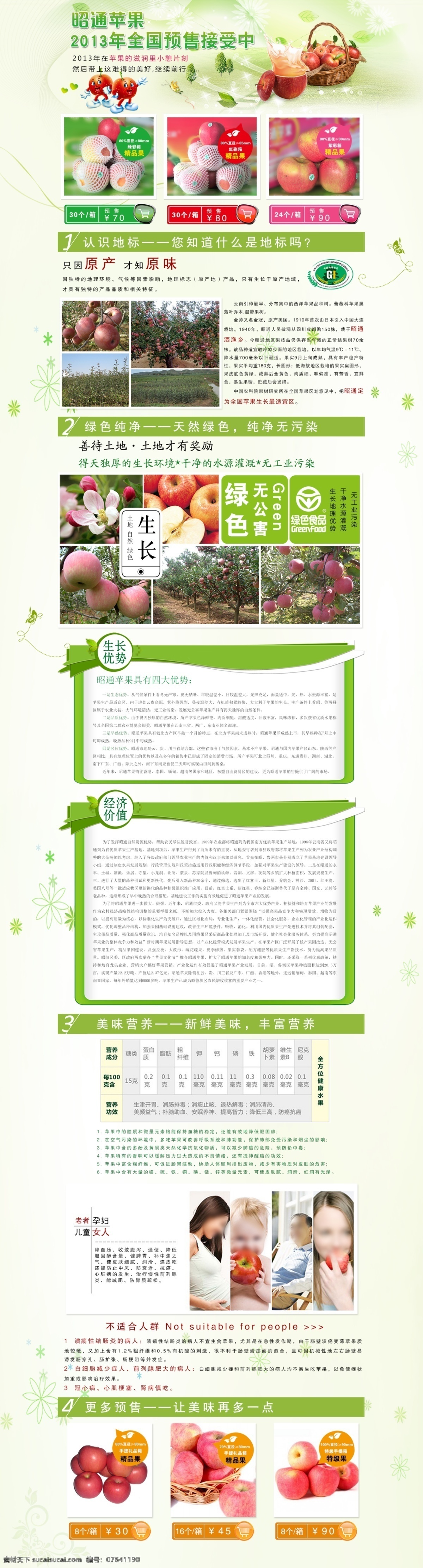 绿色 苹果 食品 水果 网页 网页模板 网页模版 源文件 昭通 专题 模板下载 昭通苹果专题 中文模板