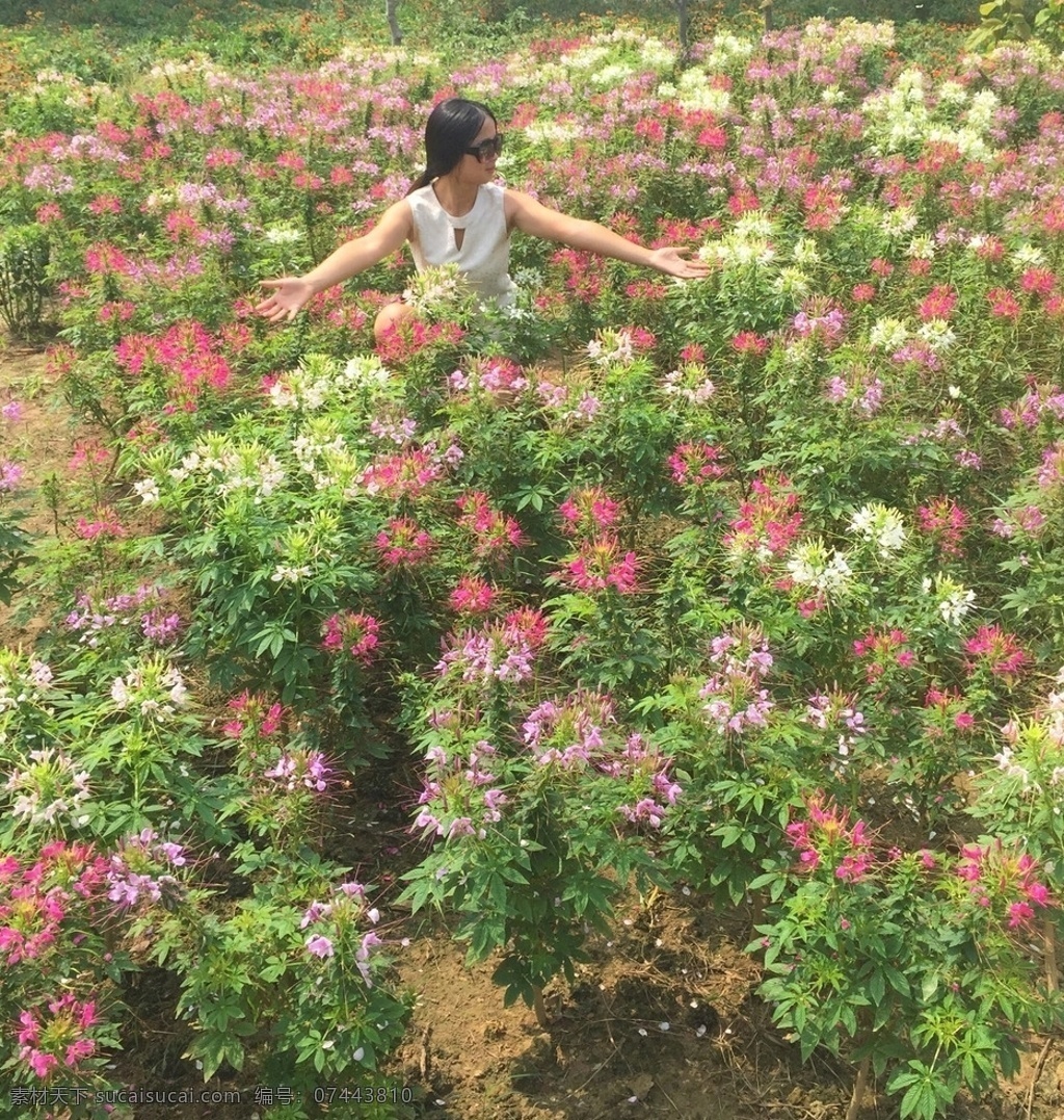 花 人在花海 人在花丛 人花共舞 旅游摄影 国内旅游