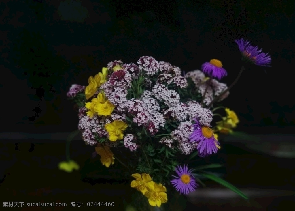 草原上的花朵 花朵 山花 山花浪漫 野菊花 自然景观 自然风景