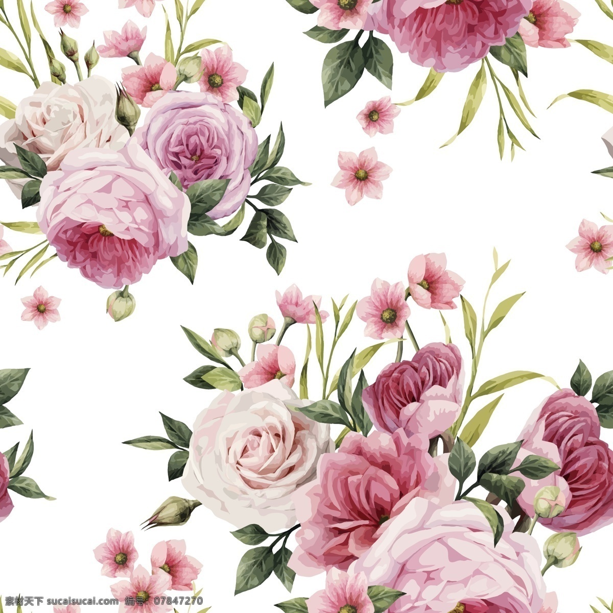 唯美 蔷薇 花朵 背景 底纹 植物 粉色 花卉