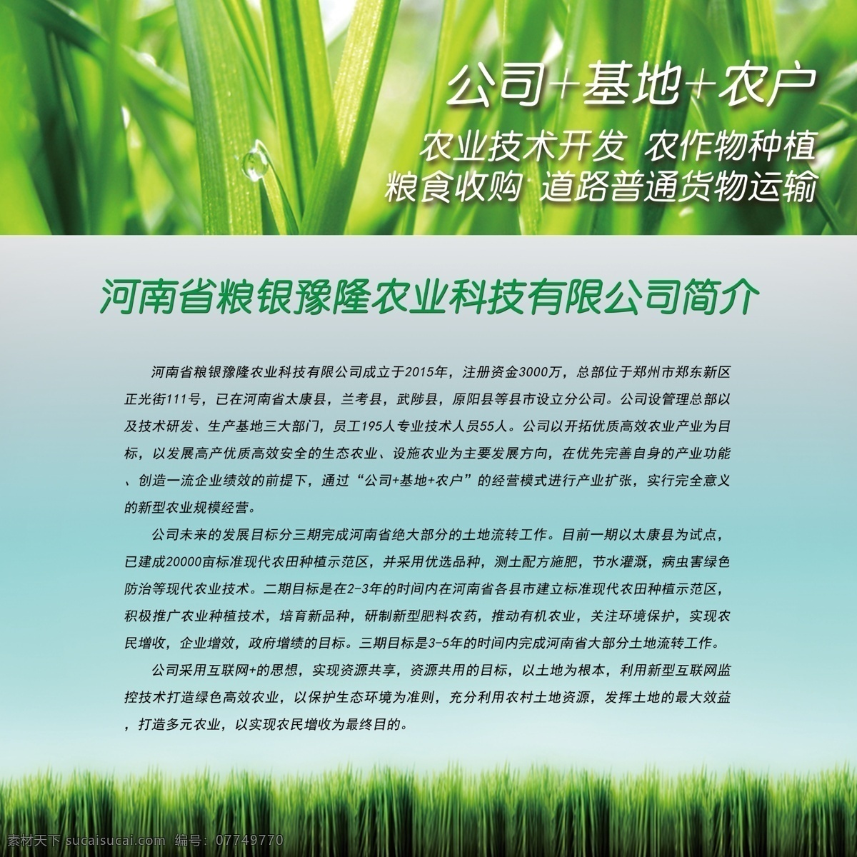农业科技展板 农业科技海报 农业 科技园 养殖 展板 绿色 背景 生态农业展板
