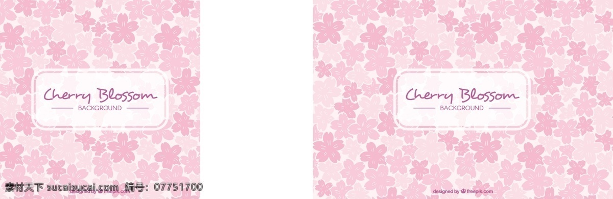 花卉 背景 粉红色 花朵 色调 自然 花卉背景 春季 平面 植物 樱花 平面设计 自然背景 春天的背景