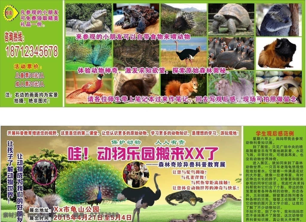 动物展览门票 优惠券 森林 卡片 单页 传单 森林动物 奇珍异兽 dm单页