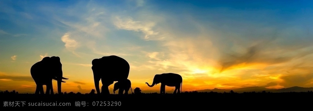 大象 塔 东南亚 日落 旅游