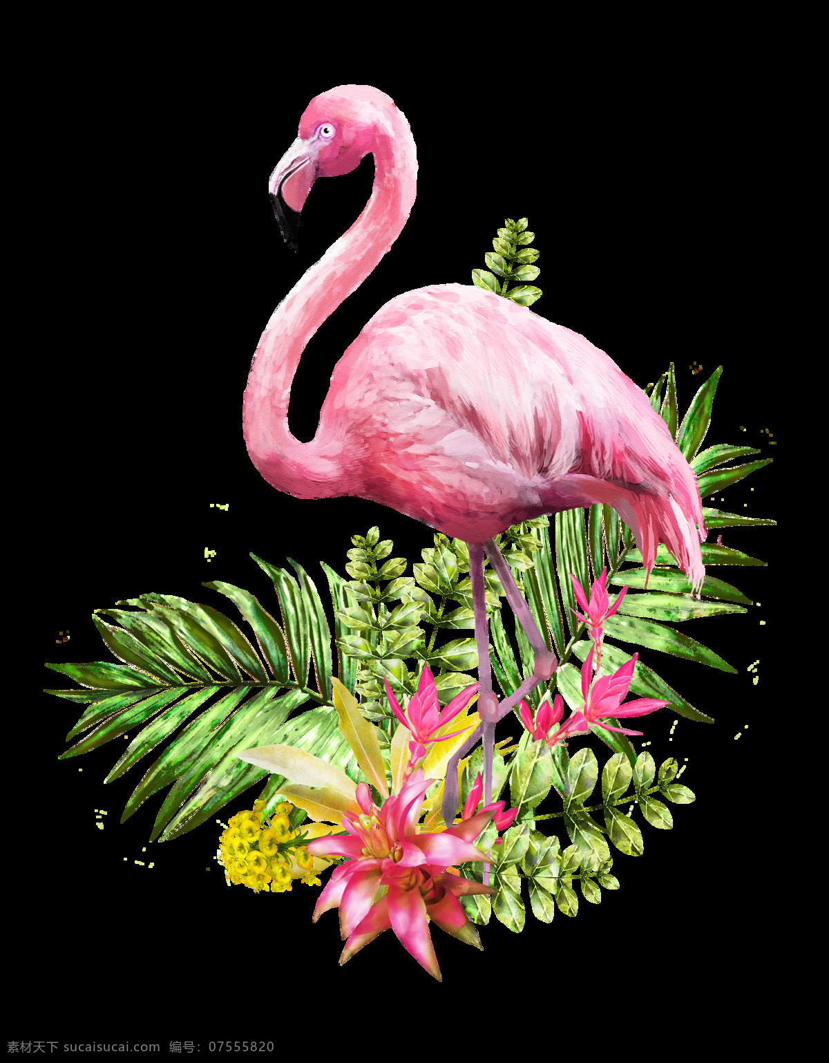 花草 丛中 站立 火烈鸟 透明 动物 粉红色 红花 绿叶 免扣素材 透明素材 装饰图片
