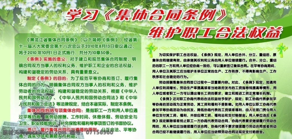 学习 集体 合同 条例 图板 图板背景 绿色图板背景 合同条例 制度 展板模板 广告设计模板 源文件