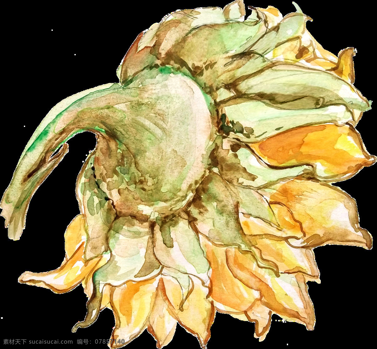 葱 黄花 叶 卡通 透明 绿色 植物 透明素材 免扣素材 装饰图案