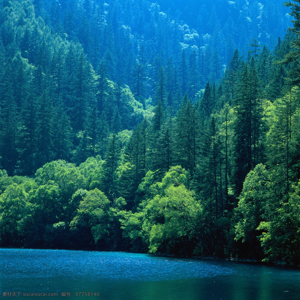 树免费下载 风景 山水风景 摄影图 树 植物 自然景观 水 装饰素材 山水风景画