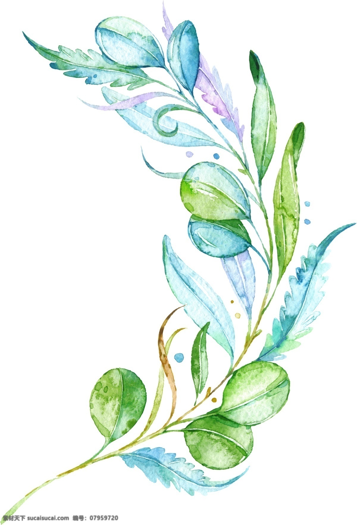 植物 花朵 花篮 花卉 花草 郁金香 粉色郁金香 花 花瓣 花蕊 花心 花叶 叶子 绿叶 花朵背景 花朵素材 郁金香背景