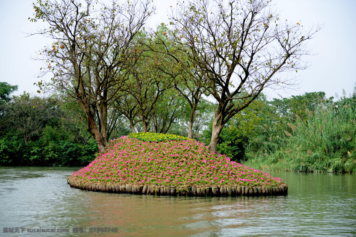 西溪湿地 杭州风景 风景 河流公园 杭州湿地公园 旅游胜地 树木 湖水 自然景观 山水风景 白色