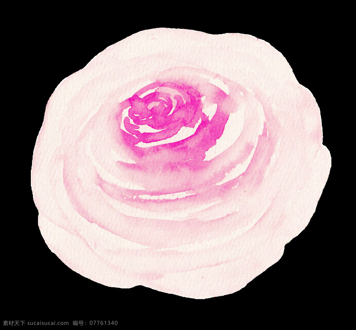 手绘 水彩 玫瑰花 透明 玫红色 淡粉色 绽放 清雅 透明素材 免扣素材 装饰图片
