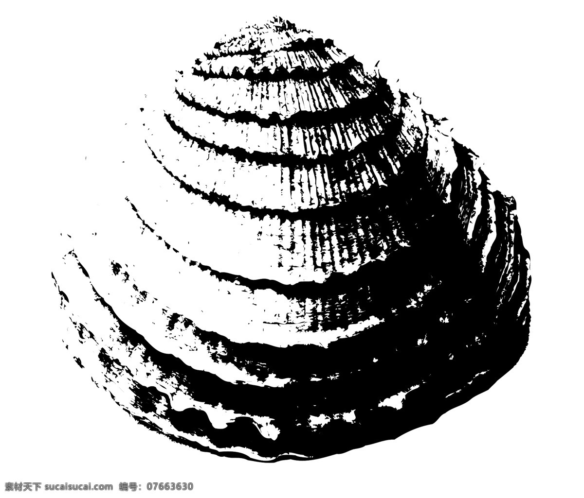 拓印免费下载 贝壳 贝壳图片 海螺 拓印 贝壳类 矢量图 日常生活