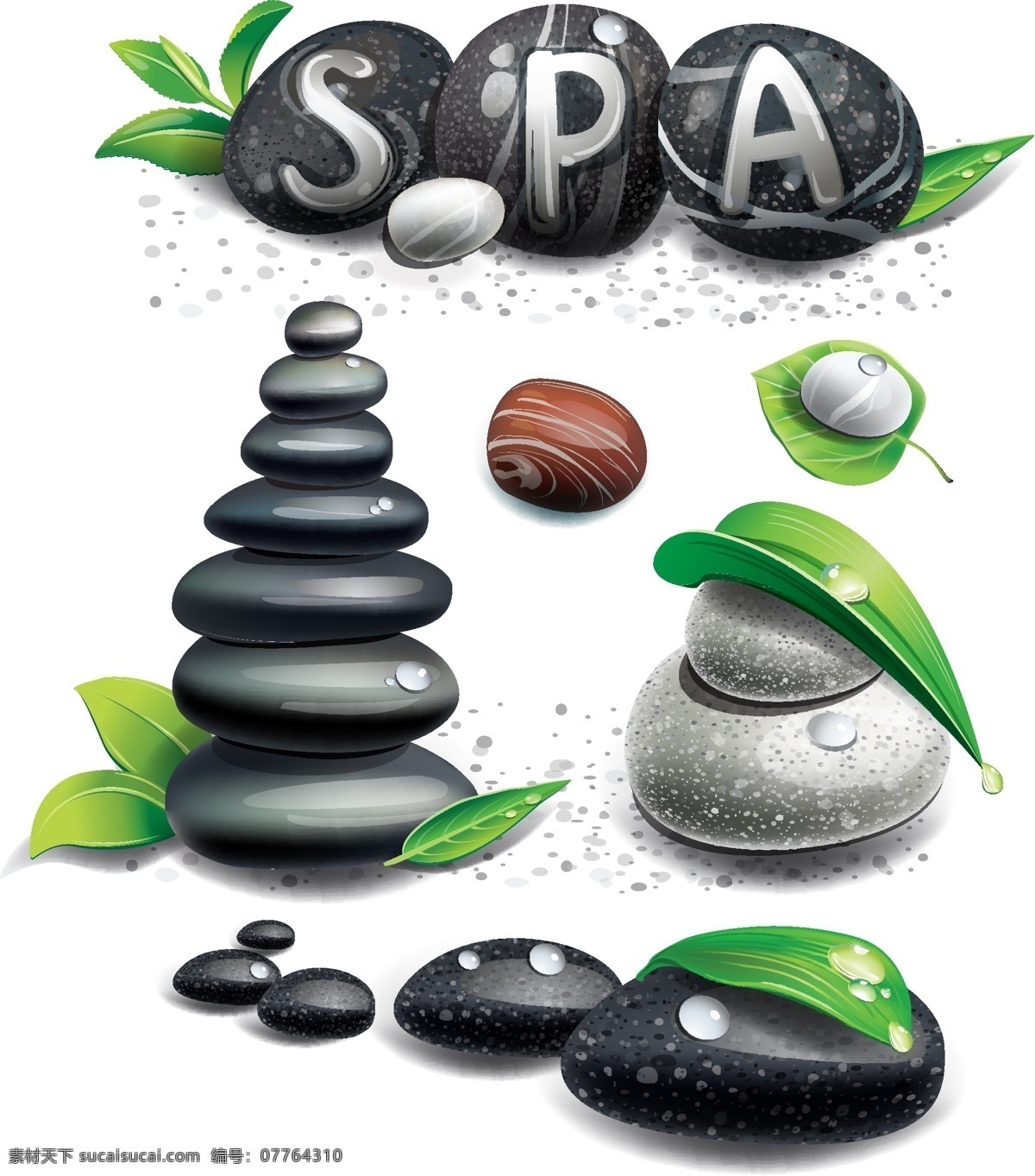 漂亮 鹅卵石 矢量 spa 精美 露珠 绿植 石头 石子 矢量素材 水珠 星光 植物 叶子 叶脉 矢量图 其他矢量图