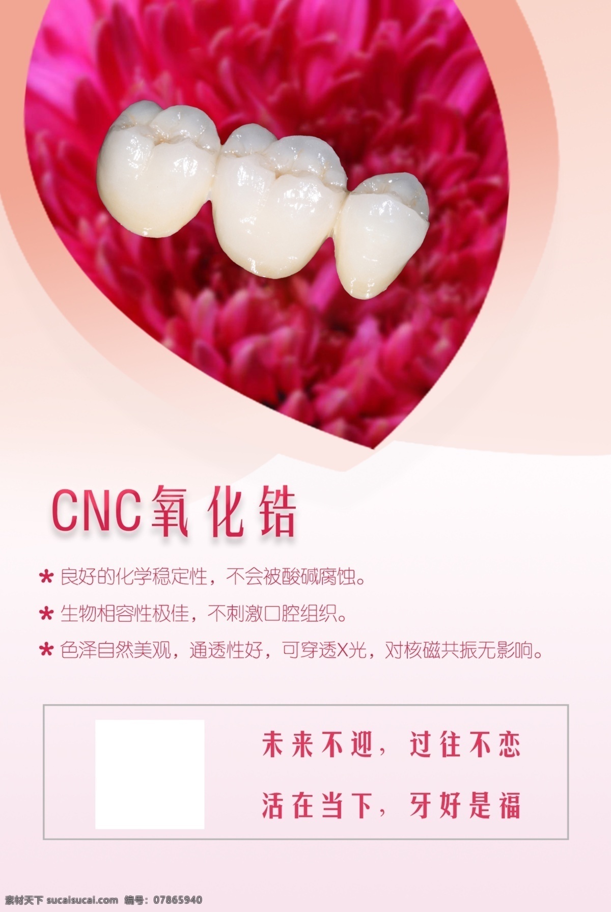 cnc氧化锆 海报 义齿 牙齿 氧化锆 粉色
