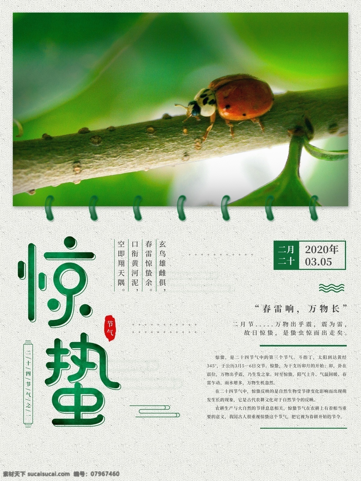 惊蛰节气 ps素材 适用于 二十四节气 惊蛰海报设计 海报