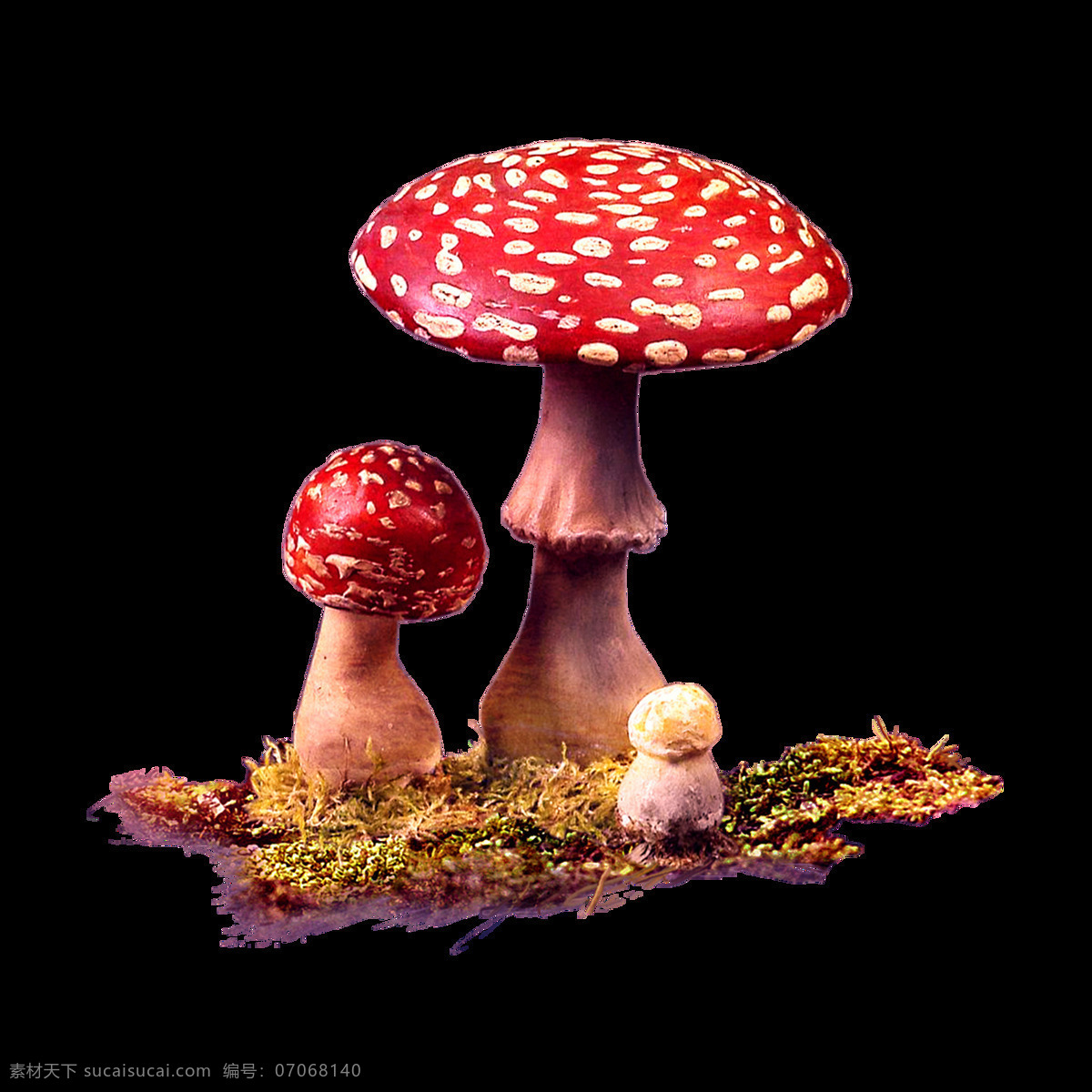 手绘 红色 蘑菇 元素 卡通 波点蘑菇 红色蘑菇 野生菌 草地 免抠
