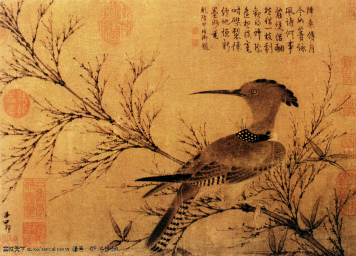 幽篁戴胜图 花鸟画 中国 古画 中国古画 设计素材 花鸟名画 古典藏画 书画美术 棕色