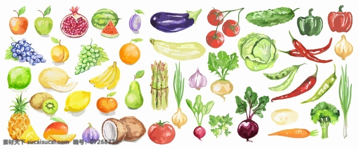 水彩 绘 蔬菜 水果 插画 水彩绘 矢量 葡萄 西瓜 茄子 西兰花