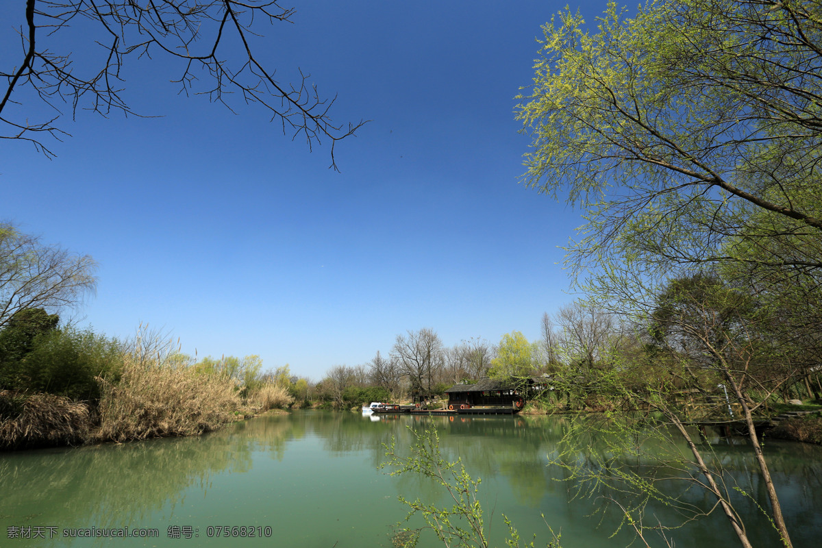 西溪湿地公园 杭州 绿树 蓝天 旅游 湿地公园 公园 西溪 湿地 国内旅游 旅游摄影 蓝色