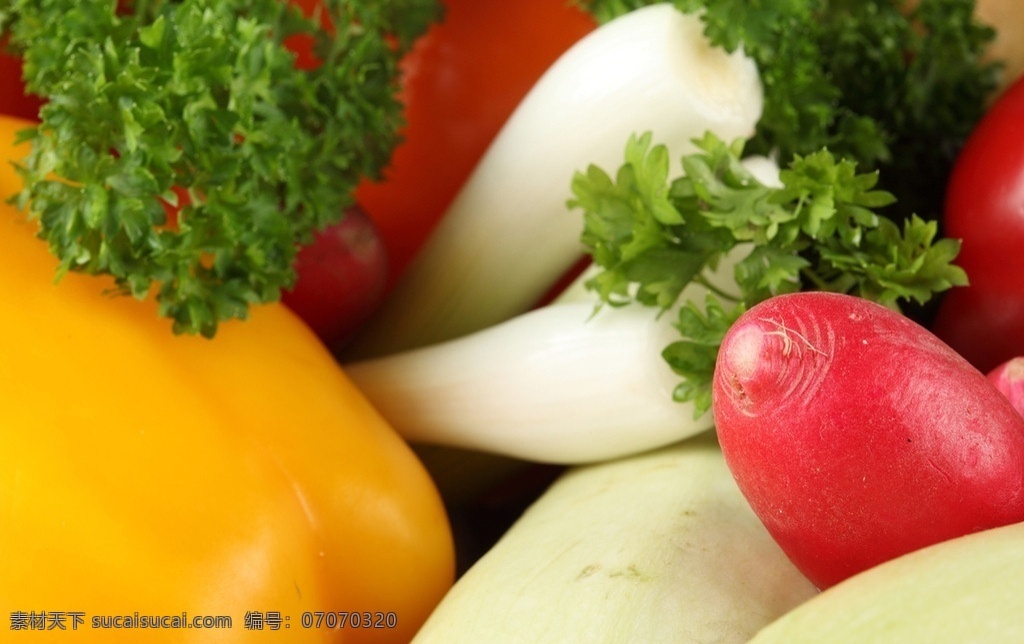 萝卜 大葱 辣椒 胡萝卜 蔬菜 绿色蔬菜 新鲜蔬菜 高清蔬菜 植物 蔬菜主题 生物世界