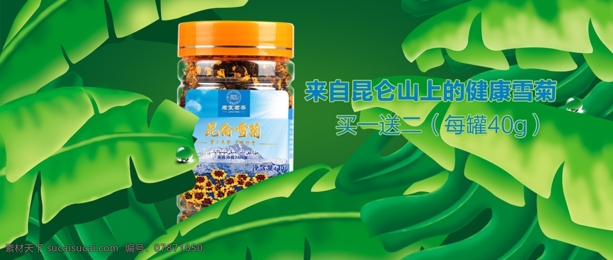 花茶 海报 banner 雪菊花茶 绿色 背景 绿色花茶 创意花茶