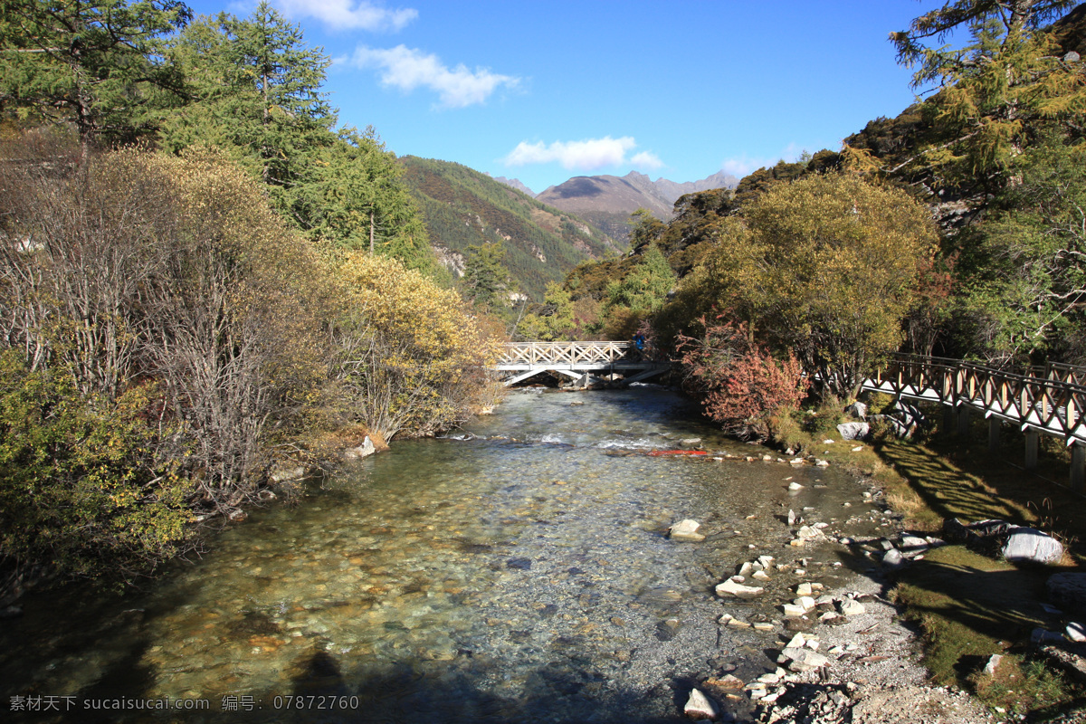 九寨沟 四川 山水 树木 名胜 旅游拍照 旅游摄影 国内旅游