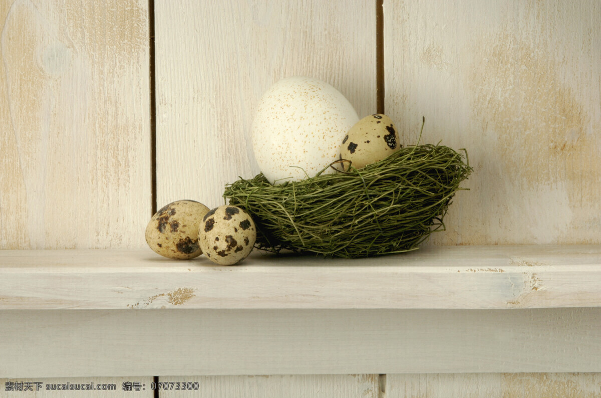 鸽子 蛋 鹅蛋 鸽子蛋 蛋类 复活节素材 鸡蛋摄影 食材原料 餐饮美食