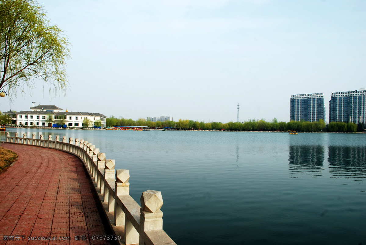 春意盎然 风景 风光 水 树 植物 绿色 倒影 高清 春天 生机 公园 自然景观 自然风景