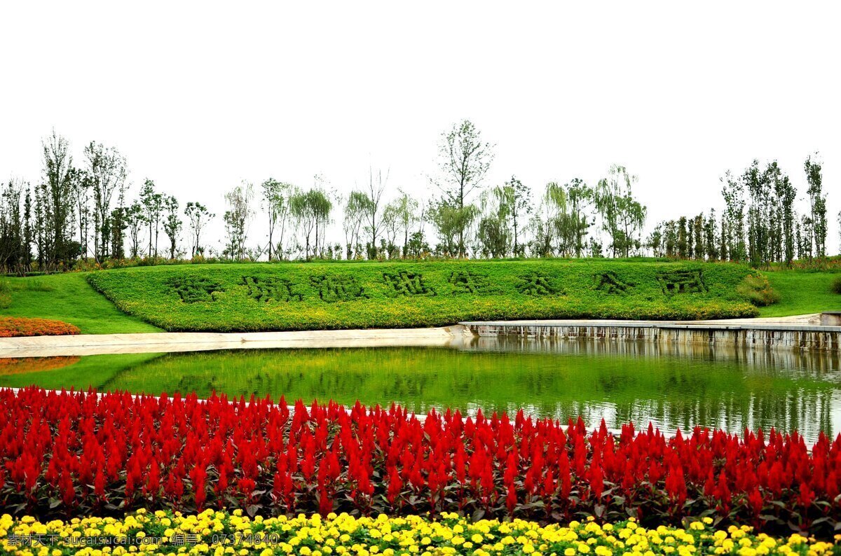 香城 湿地 生态 公园 花卉 香城湿地 生态公园 香城湿地公园 湖水 风景摄影 自然景观 自然风景 白色