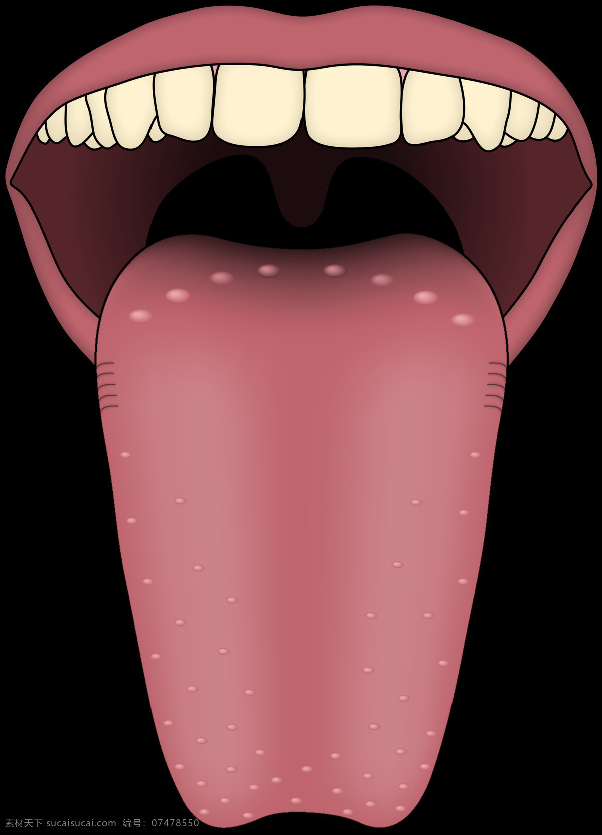 伸出 舌头 免 抠 透明 图 层 正常人 卡通舌头 舌头诱惑 卷舌头 吐舌头图片 健康 正常 舌头勾引 舌头性感 挑舌头 手绘舌头 红色舌头 手绘卡通舌头