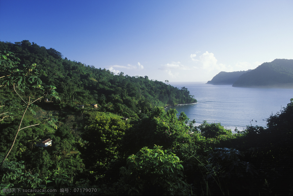 海岸 绿树 特写 大海 漂亮 美景 风景 岸边 加勒比海岸 高清图片 大海图片 风景图片