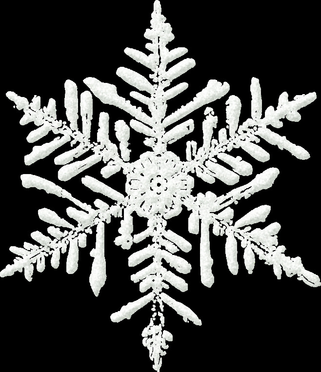 雪花 卡通 免 扣 白色 冬天 免扣素材 手绘 素材合集