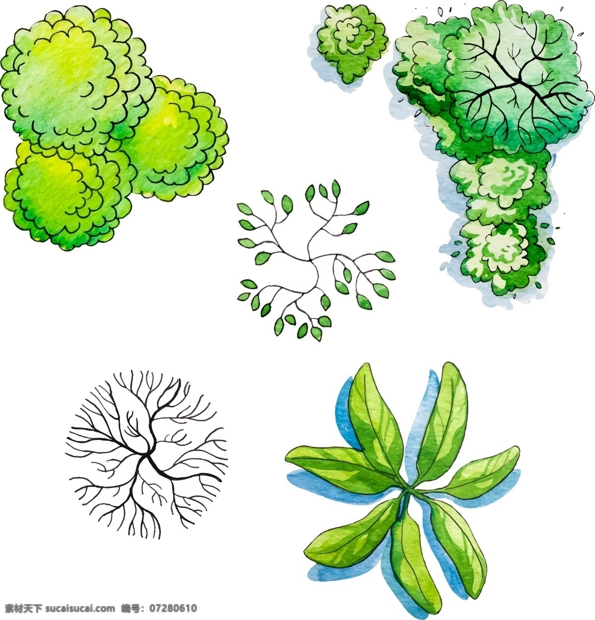 手绘 园林 植物 图标 艺术 树木 俯视 大树 绿色